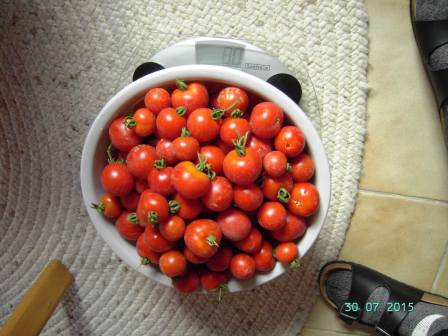 Großer Topf mit Tomatensuppe